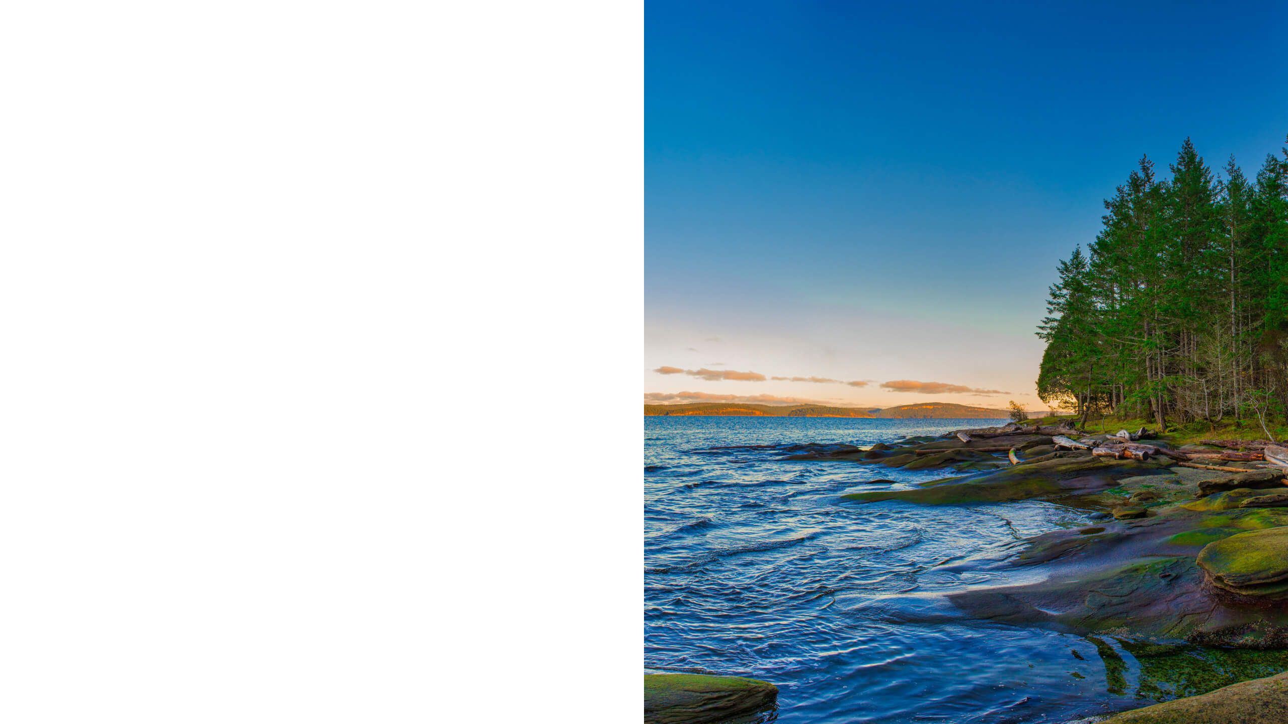 Contact Upstream Athletics background image of Vancouver Island shoreline