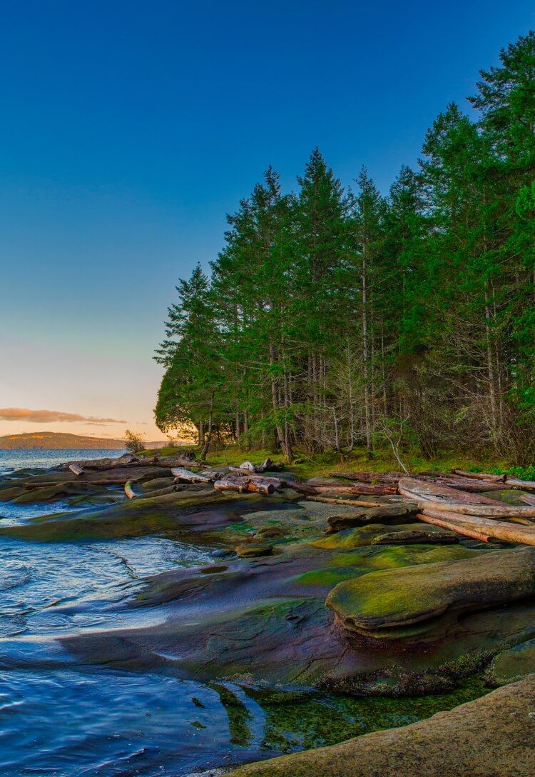 Contact Upstream Athletics background image of Vancouver Island shoreline